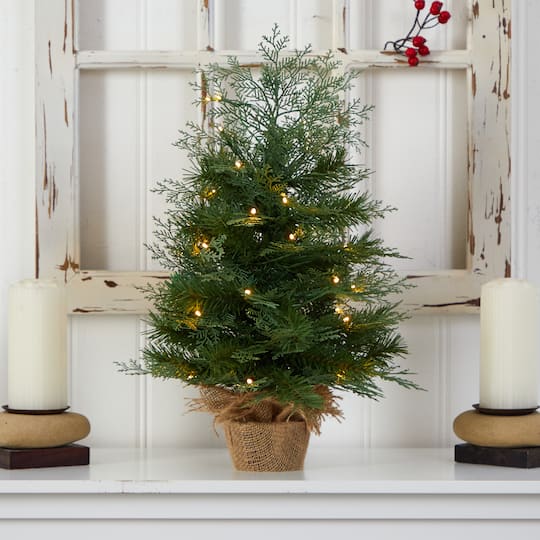 2ft. Pre-Lit Artificial Christmas Tree in Burlap Base, Warm White LED Lights